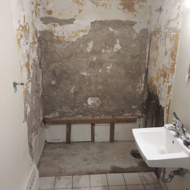 bathroom renovation HCI