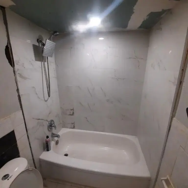 bathroom renovation HCI